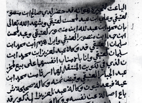 دراسة: شجرة العتيقي بين الأدلة النقلية والأدوات العلمية (مع المرفق التوضيحي للدراسة)