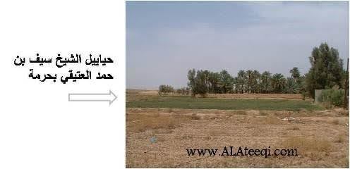 history agricultural terms10