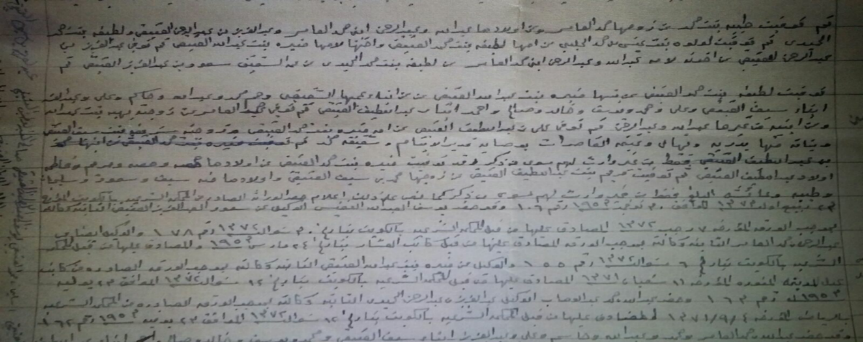 history study image 11