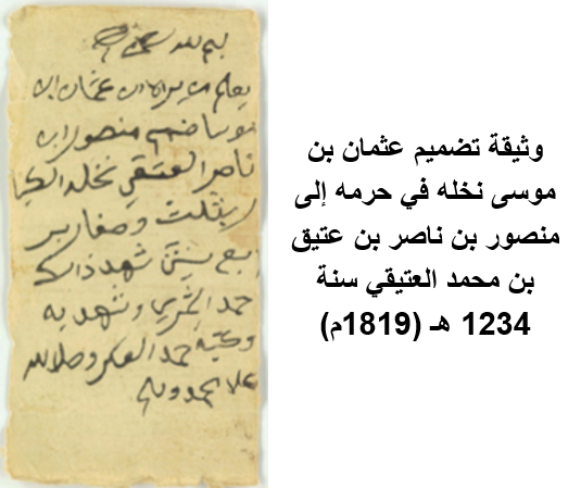 history study image 31